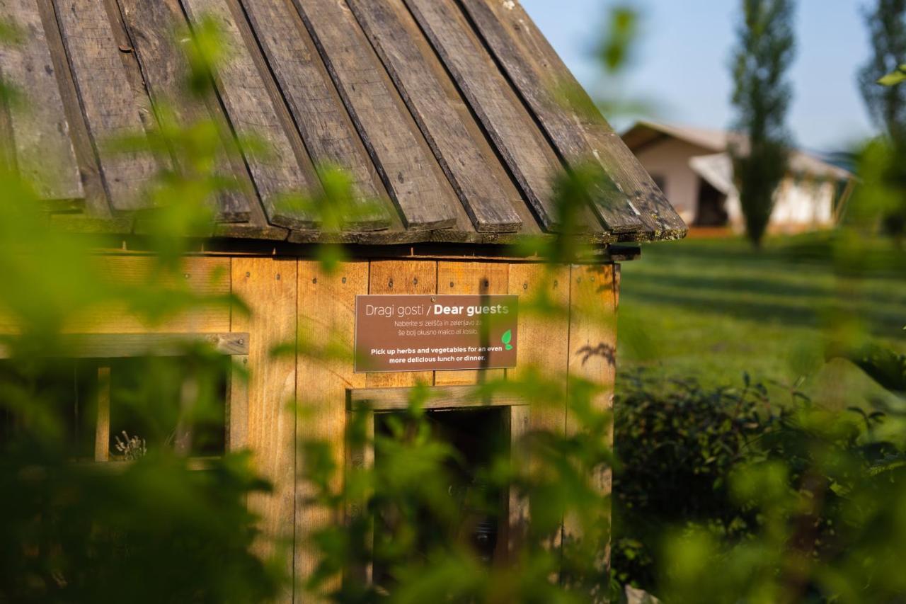 Glamping Kolpa Resort Gradac Exterior foto